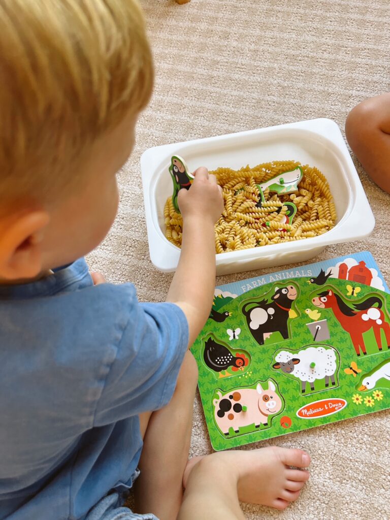 Educational Summer Activities for Toddlers: Sensory Search with Puzzles