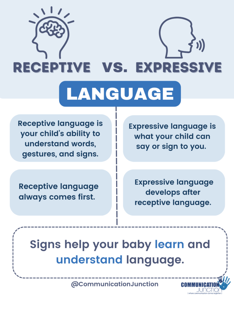 receptive vs expressive language